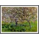 Apple Trees in Bloom at Giverny 1900 01, A New Print Of a Painting By Adolphe Monet