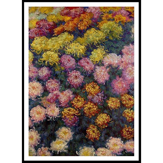 Bed of Chrysanthemums 1897, A New Print Of a Painting By Adolphe Monet