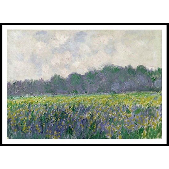 Field of Yellow Irises at Giverny 1887, A New Print Of a Painting By Adolphe Monet