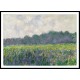 Field of Yellow Irises at Giverny 1887, A New Print Of a Painting By Adolphe Monet