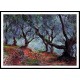 Grove of Olive Trees in Bordighera 1884, A New Print Of a Painting By Adolphe Monet