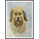 Head of the Dog 1882, A New Print Of a Painting By Adolphe Monet