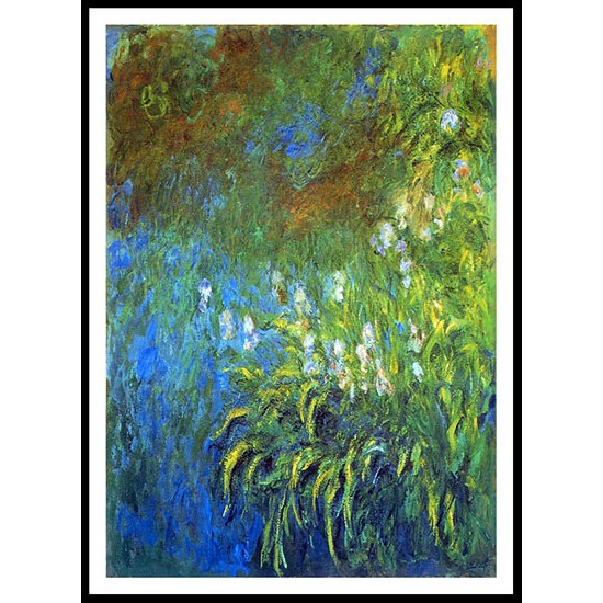 Iris at the Sea Rose Pond 1914 17, A New Print Of a Painting By Adolphe Monet