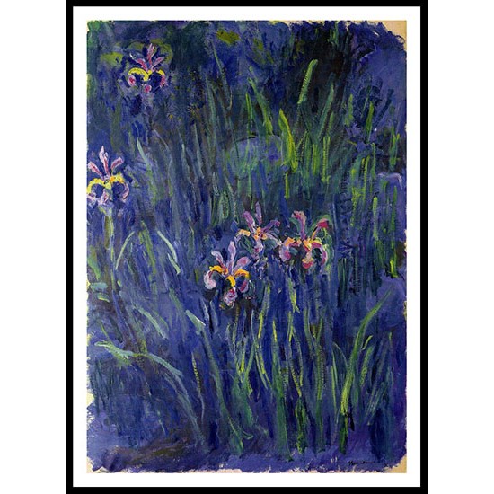 Irises 2 1914 17, A New Print Of a Painting By Adolphe Monet