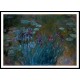 Irises and Water Lilies 1914 17, A New Print Of a Painting By Adolphe Monet