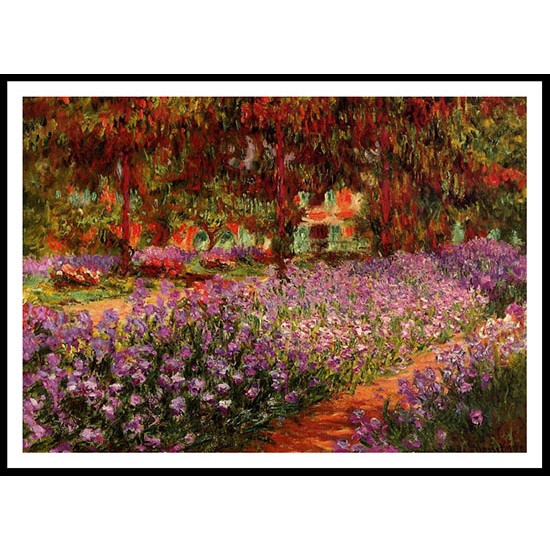 Irises in Monets Garden 02 1900, A New Print Of a Painting By Adolphe Monet