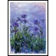 Lilac Irises 1914 17, A New Print Of a Painting By Adolphe Monet