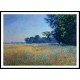 Oat and Poppy Field Giverny 1890, A New Print Of a Painting By Adolphe Monet