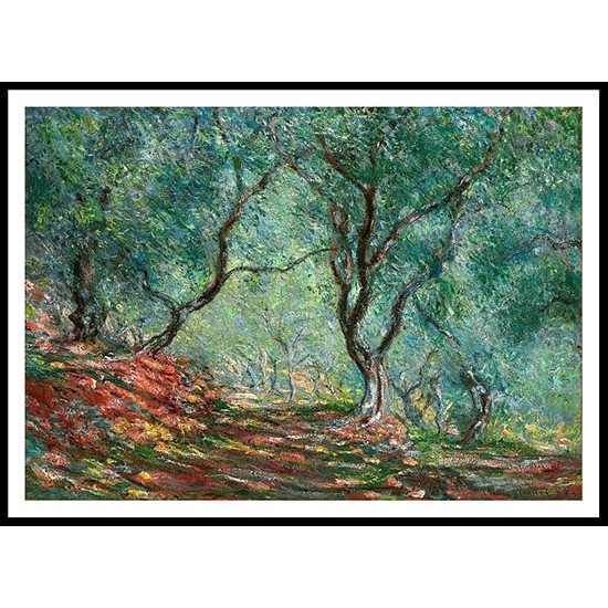 Olive Tree Wood in the Moreno Garden 1884, A New Print Of a Painting By Adolphe Monet