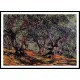 Olive Trees in Bordigher 1884, A New Print Of a Painting By Adolphe Monet