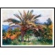 Palm Tree at Bordighera 1884, A New Print Of a Painting By Adolphe Monet