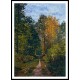 Path in the Forest 1865, A New Print Of a Painting By Adolphe Monet