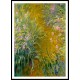 Path through the Irises 01 1914 17, A New Print Of a Painting By Adolphe Monet