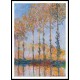 Poplars White and Yellow Effect 1891, A New Print Of a Painting By Adolphe Monet