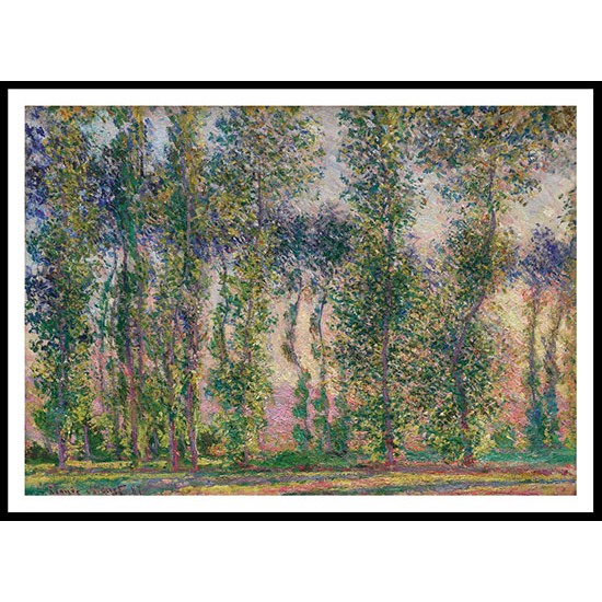 Poplars at Giverny 1887, A New Print Of a Painting By Adolphe Monet