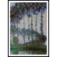 Poplars on the Banks of the River Epte Overcast Weather 1891, A New Print Of a Painting By Adolphe Monet