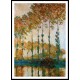 Poplars on the Banks of the River Epte in Autumn 1891, A New Print Of a Painting By Adolphe Monet