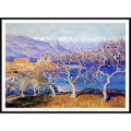 Guy Rose