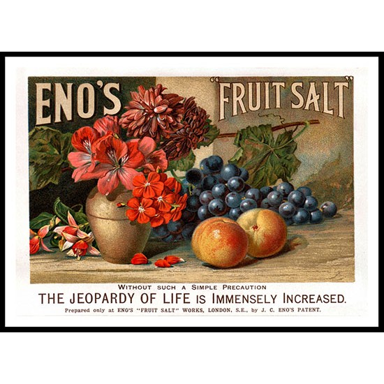 Fruit Salt 1894, A New Print Of a Vintage Advert