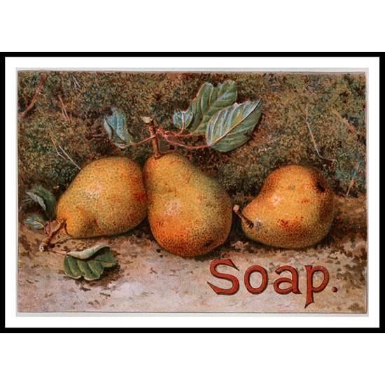 Pears 17, A New Print Of a Vintage Advert