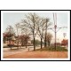 St Charles Avenue New Orleans 1900, A New Print Of an American Street Scene Photochrom