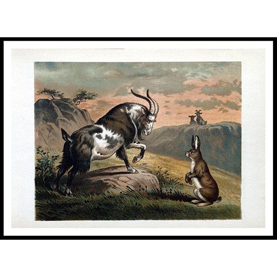 Ballad of Lost Hare 1882d, A New Print Of a Childrens Book