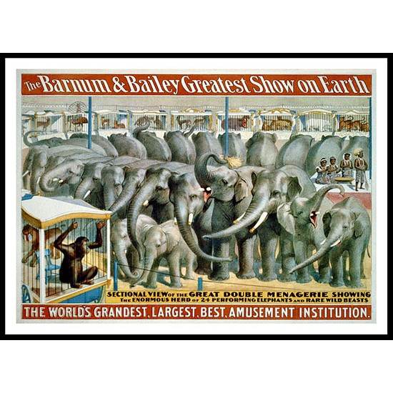 Circus Barnum Bailey 1895e, A New Print Of a Vintage Circus Ad