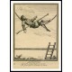 Circus LAnglois 4, A New Print Of a Vintage Circus Ad