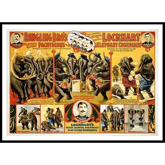 Circus Ringling Bros Pachyderms 1899, A New Print Of a Vintage Circus Ad