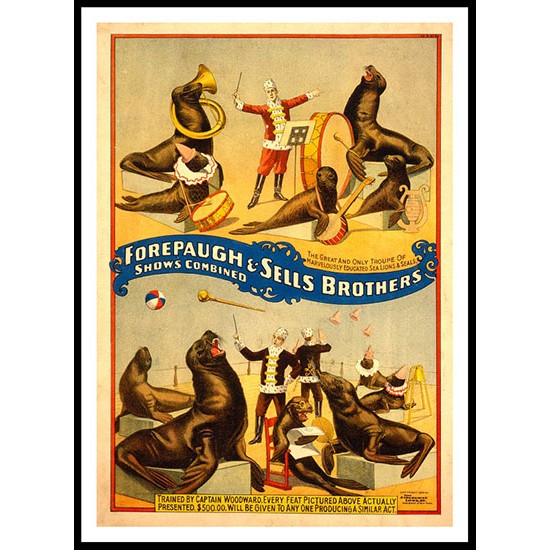 Circus Shows Combined 1899b, A New Print Of a Vintage Circus Ad