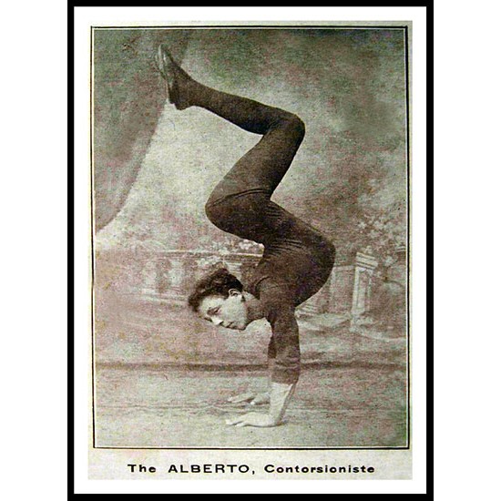 Circus The Alberto, A New Print Of a Vintage Circus Ad