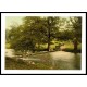 Ambleside stepping stones Lake District England, A New Print Of an English Photochrom Image