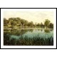 Arundel Castle Swanbourne Lake England, A New Print Of an English Photochrom Image