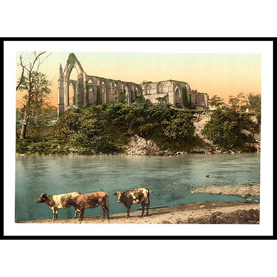 Bolton Abbey from the river England, A New Print Of an English Photochrom Image