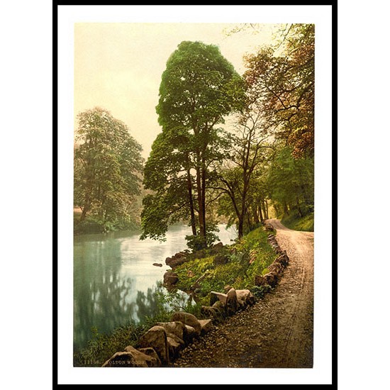 Bolton Woods England, A New Print Of an English Photochrom Image