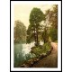 Bolton Woods England, A New Print Of an English Photochrom Image