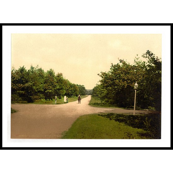 Camberley Bagshot Road England, A New Print Of an English Photochrom Image