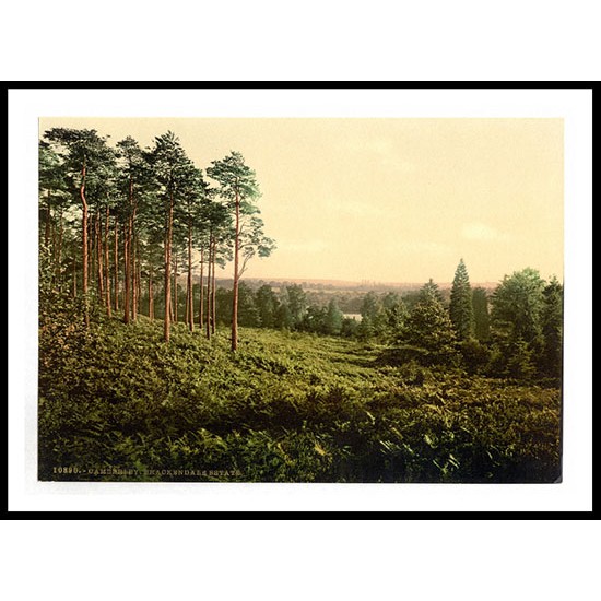 Camberley Brackendale Estade England, A New Print Of an English Photochrom Image