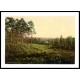 Camberley Brackendale Estade England, A New Print Of an English Photochrom Image