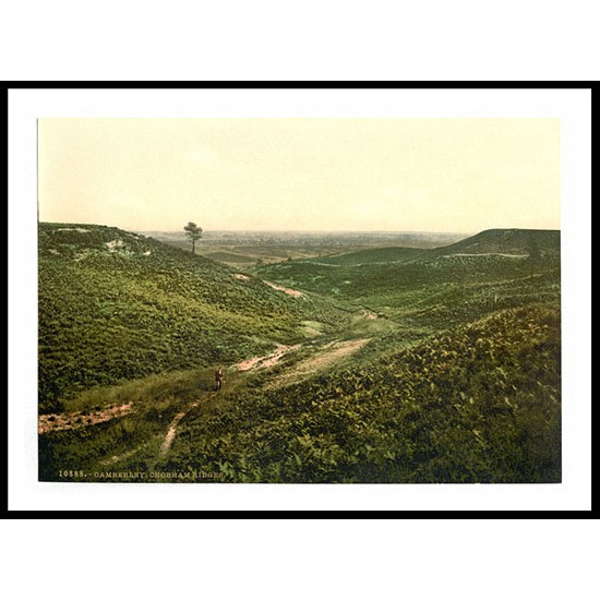 Camberley Chobham Ridges England, A New Print Of an English Photochrom Image