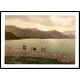 Derwentwater cattle study Lake District England I, A New Print Of an English Photochrom Image