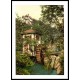 Isle of Man Groudle Glen the mill England, A New Print Of an English Photochrom Image