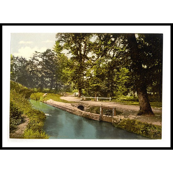 Newton Abbott Bradley Woods England, A New Print Of an English Photochrom Image