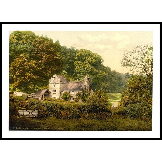 Newton Abbott Ogwell old mill England, A New Print Of an English Photochrom Image