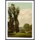 Richmond the terrace London and suburbs England II, A New Print Of an English Photochrom Image