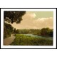 Richmond view of the Thames London and suburbs England, A New Print Of an English Photochrom Image