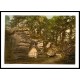 Tunbridge Wells The High Rocks England IV, A New Print Of an English Photochrom Image