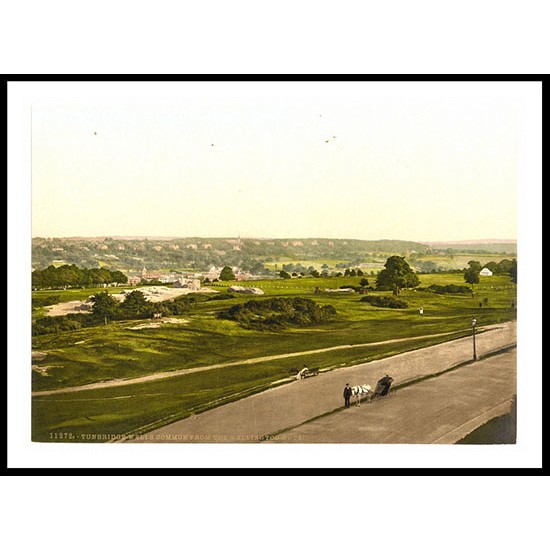 Tunbridge Wells The common from the Wellington Hotel England, A New Print Of an English Photochrom Image