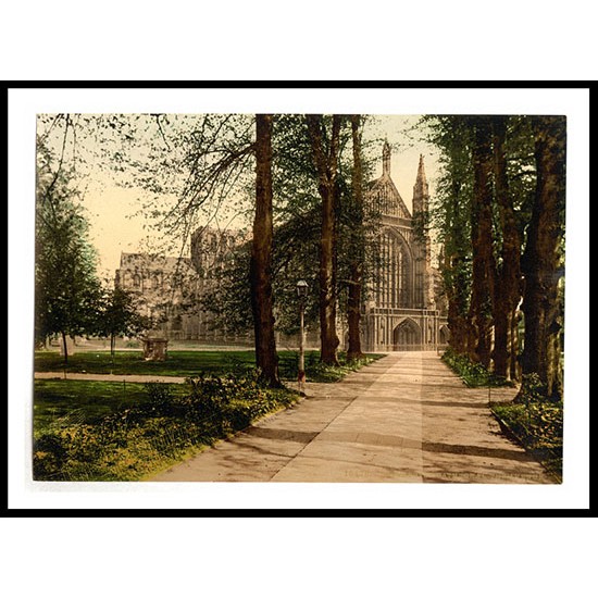 Winchester Cathedral and avenue England, A New Print Of an English Photochrom Image