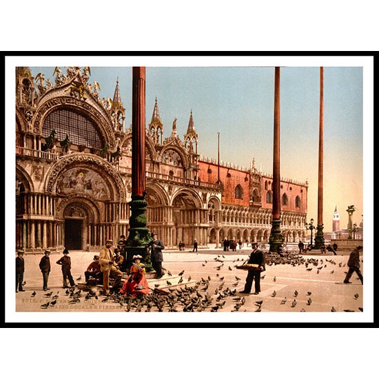 Pigeons St Marks Place Venice Italy, A New Print Of a Vintage European Street Scene